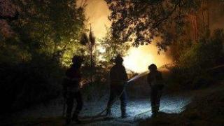 Над 64 000 хектара бяха унищожени при пожар в Португалия